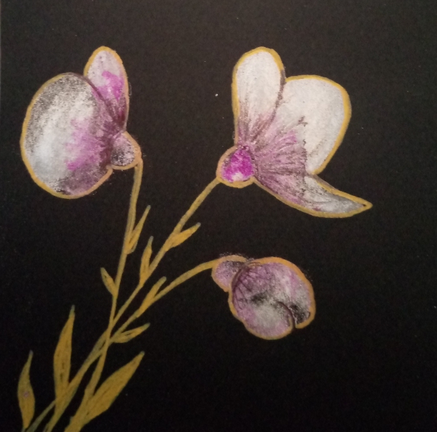 Les 10×10 du jour :&nbsp;26/01/25